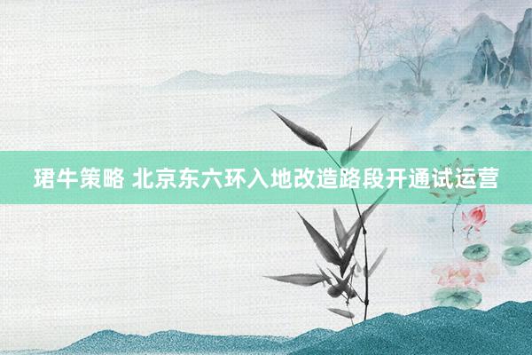 珺牛策略 北京东六环入地改造路段开通试运营