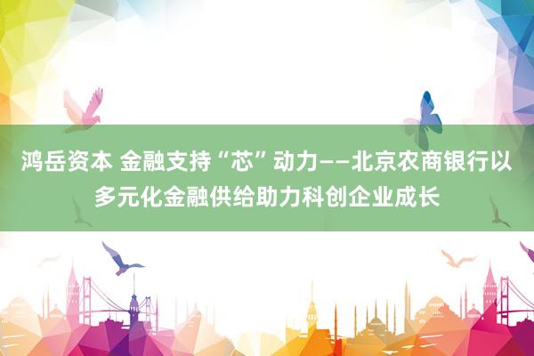 鸿岳资本 金融支持“芯”动力——北京农商银行以多元化金融供给助力科创企业成长