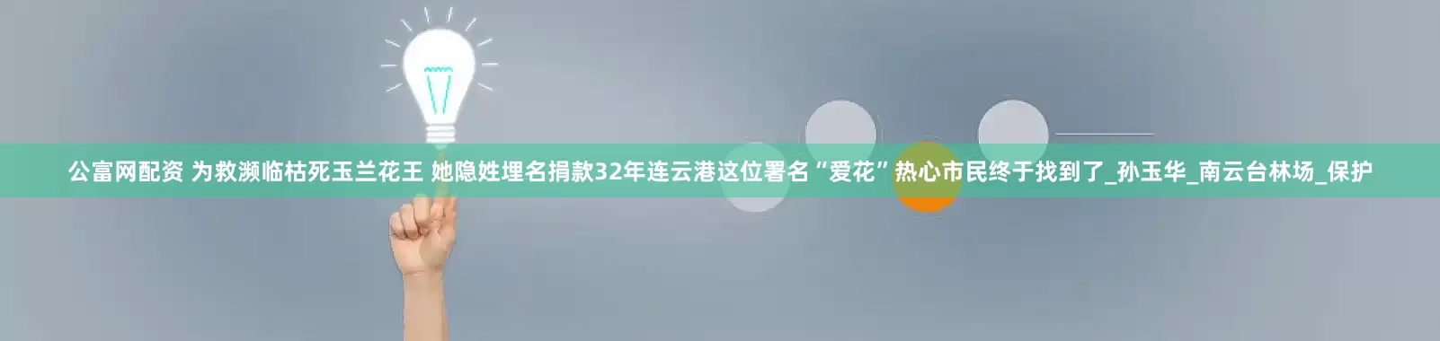 公富网配资 为救濒临枯死玉兰花王 她隐姓埋名捐款32年连云港这位署名“爱花”热心市民终于找到了_孙玉华_南云台林场_保护