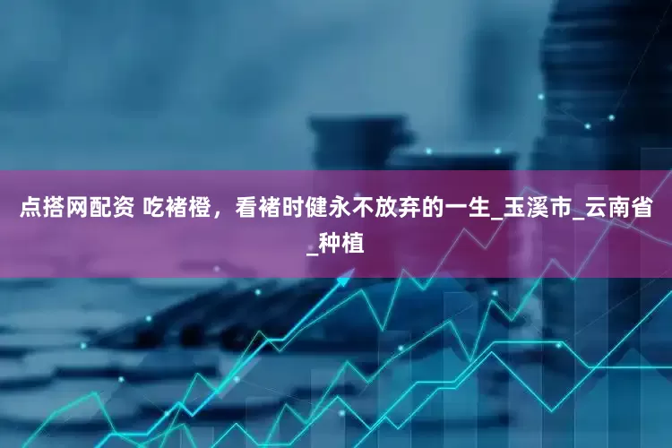 点搭网配资 吃褚橙，看褚时健永不放弃的一生_玉溪市_云南省_种植