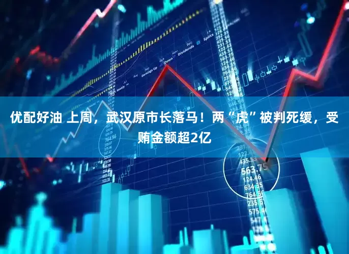 优配好油 上周，武汉原市长落马！两“虎”被判死缓，受贿金额超2亿