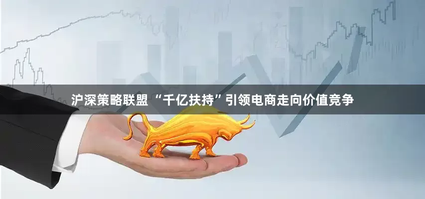 沪深策略联盟 “千亿扶持”引领电商走向价值竞争