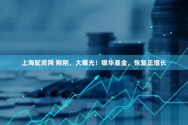 上海配资网 刚刚，大曝光！银华基金，恢复正增长